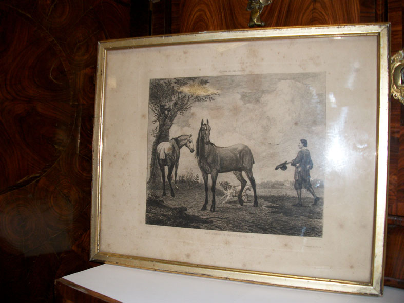 Gravure chevaux de Stadthouder