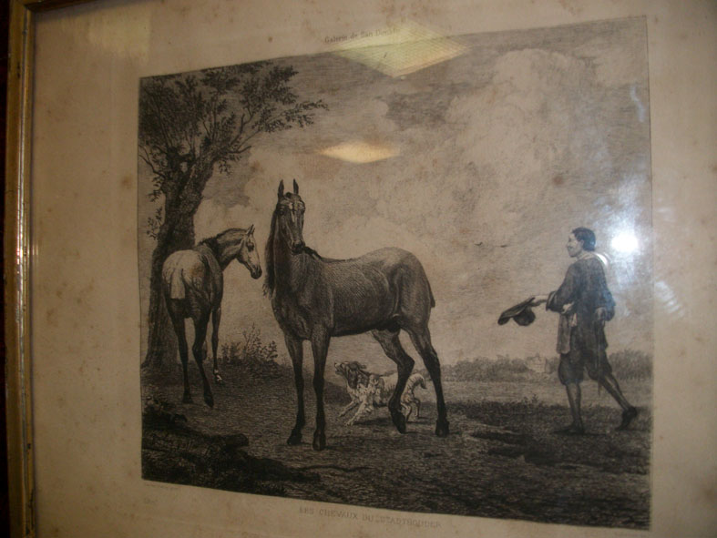 Gravure chevaux de Stadthouder