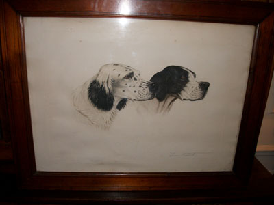 Gravure chiens de chasse